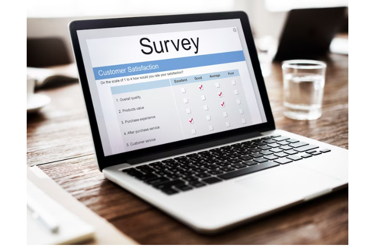 Online Surveys