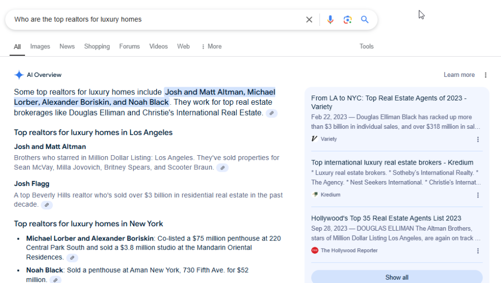 AI Overview long local search query result